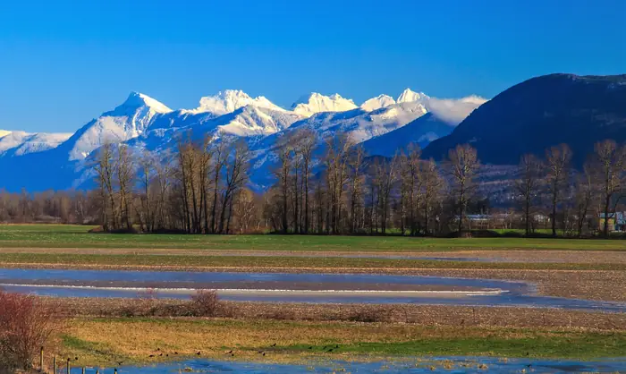 Snowy peaks of the Cheam Range rising behind wet, flat fields east of Chilliwack