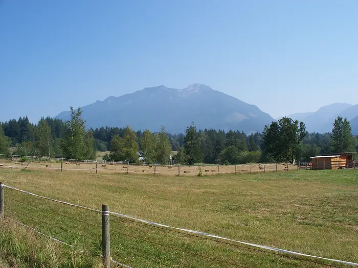 Open grass and trees at Ryder Lake, one of the rural areas where people look for the best landscaper in Chilliwack
