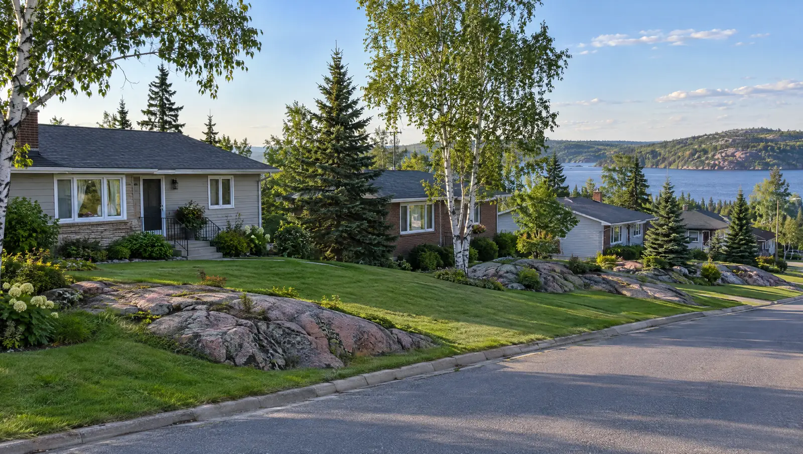 Illustration of a mowed lawn beside a northern Ontario home with pine trees and rocky ground
