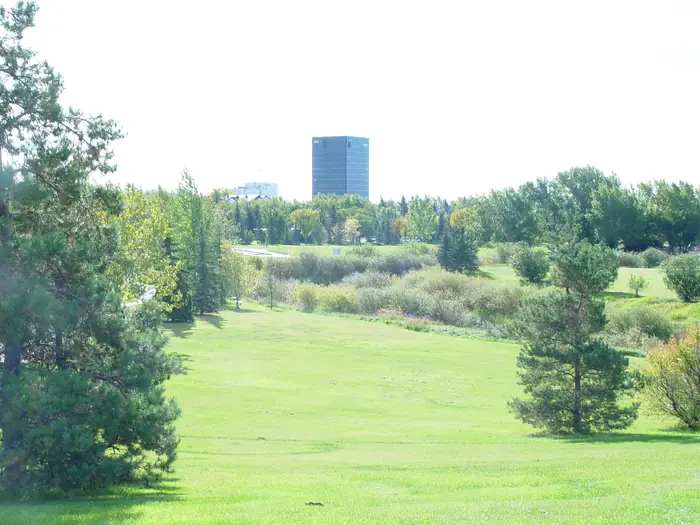 Wide mowed grass in Muskoseepi Park with downtown behind, the kind of lawn people call the best landscaper in Grande Prairie for
