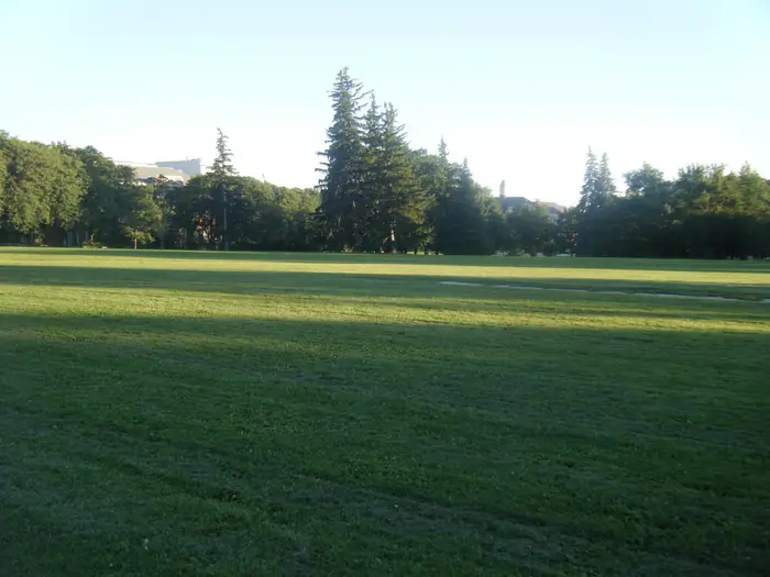 Freshly mowed grass across Johnston Green at the University of Guelph, an even cut the best landscaper in Guelph should match