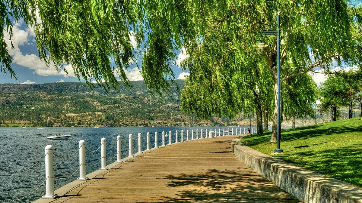 Green lawn and willow trees beside the lakeside path in Waterfront Park, Kelowna