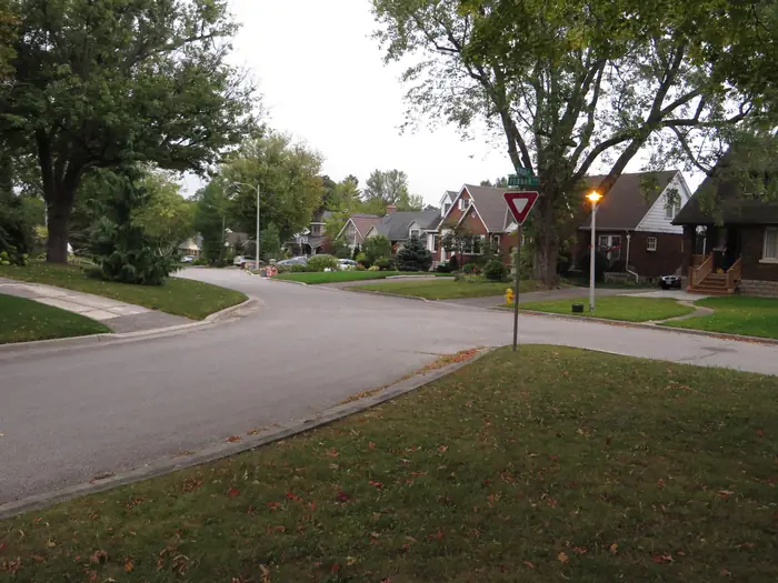 Front lawns under big shade trees on a street in Old South, where homeowners look for the best landscaper in London