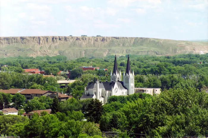 Homes under green trees in the river valley, the kind of shady yards people want the best landscaper in Medicine Hat for