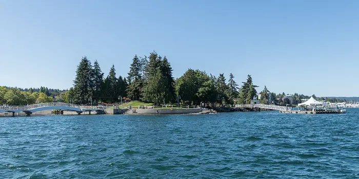 Green lawn and tall evergreens at Maffeo Sutton Park on the harbour, the kind of grass people want from the best landscaper in Nanaimo