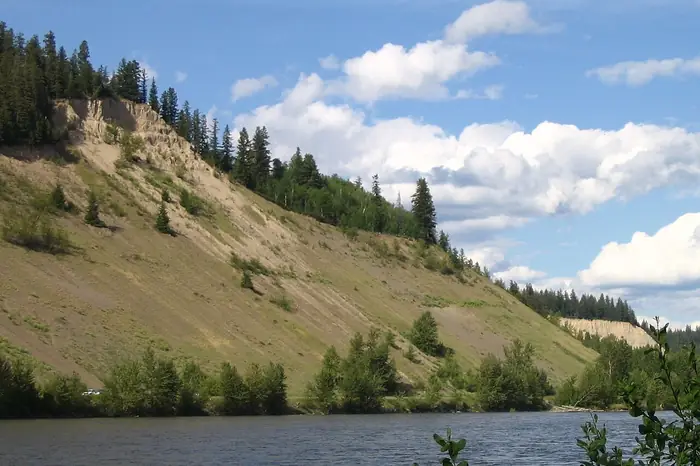 Tall sandy cutbanks topped with spruce trees above the Nechako River in Prince George