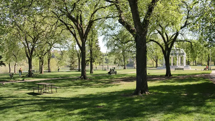 Tall trees shading a green mowed lawn in Kiwanis Memorial Park by the river, the look people want from the best landscaper in Saskatoon