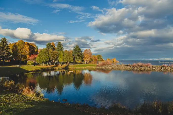 Mowed lawn and fall colours at Marina Park, the kind of grass people want the best landscaper in Thunder Bay to keep